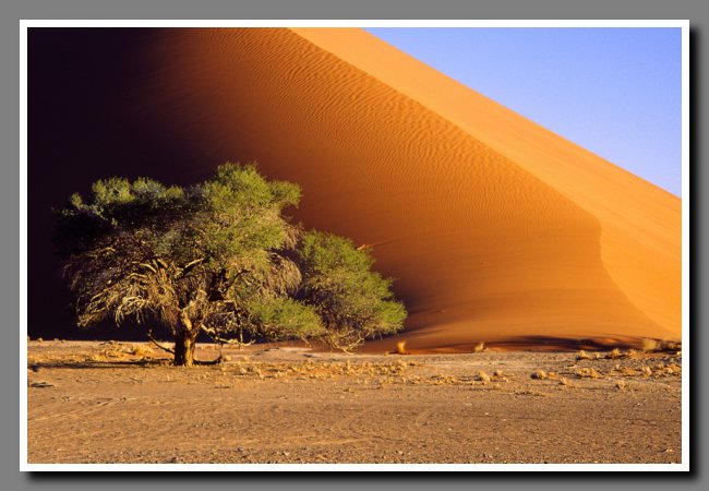 namibia-031