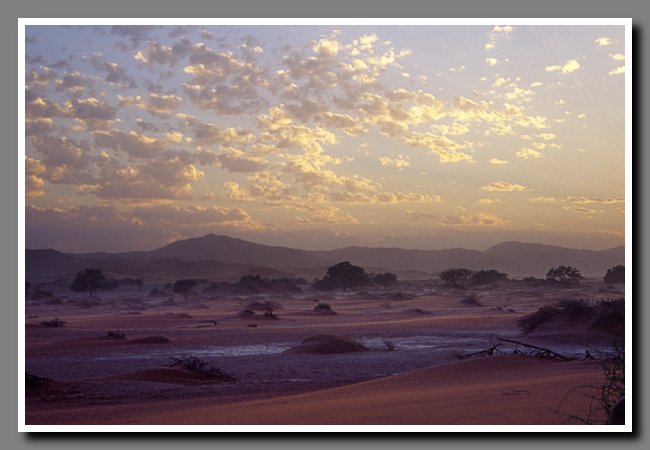 namibia-036