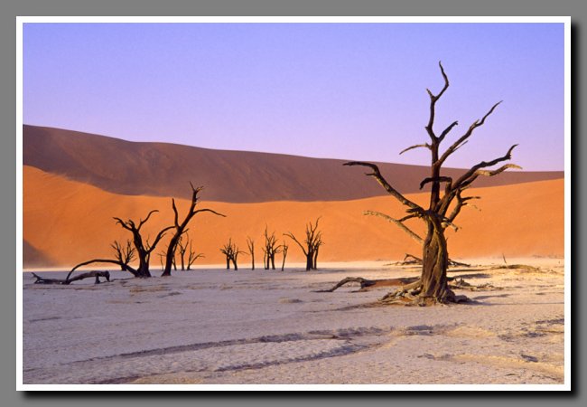 namibia-042