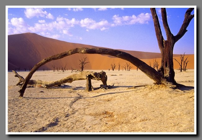 namibia-043