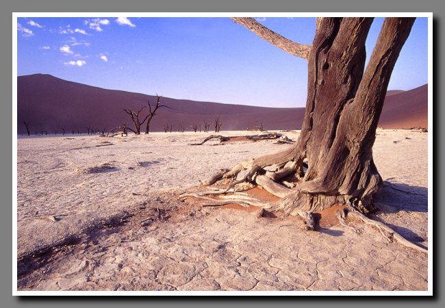 namibia-045