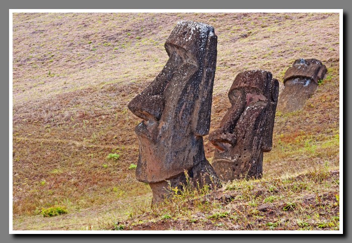 35_SC_Moais_ von_Rano_Raraku_1599